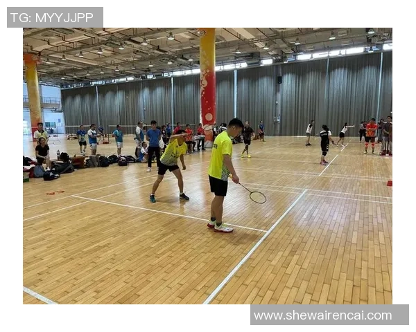 杭州羽毛球队团队协作变革探讨助力竞技水平提升与团结精神重塑