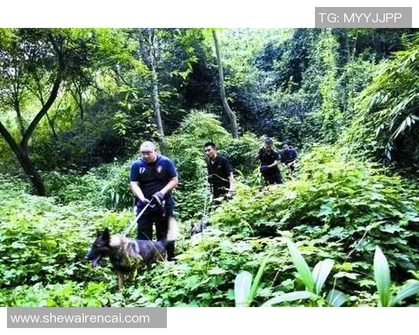 重庆乒乓球队防反革新之路探索与实践分析 重庆乒乓球队防反革新之路探索与实践分析
