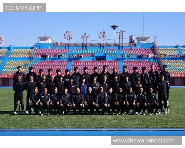 西安足球队的团队协作揭秘:如何在绿茵场上共创辉煌 西安足球队的团队协作揭秘:如何在绿茵场上共创辉煌