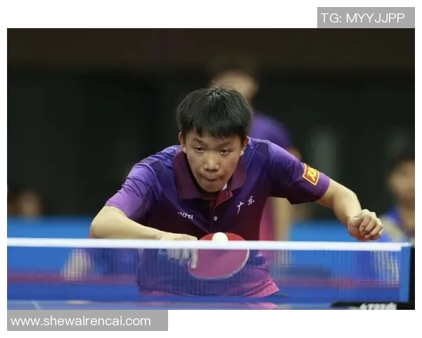 广州乒乓球队在全国锦标赛中的速度表现分析与点评